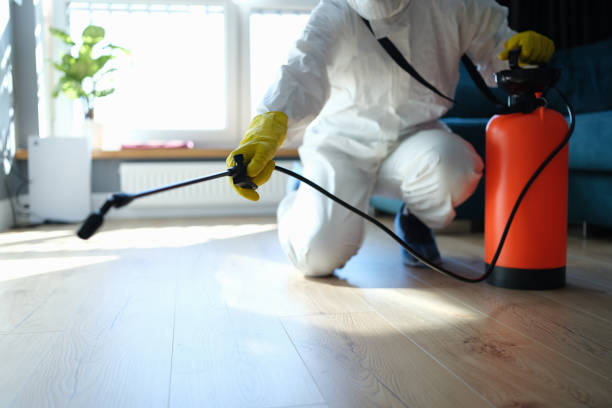 Reliable Unattended Death Cleanup contractor in Paisley, FL by Crime Scene Cleaner Online